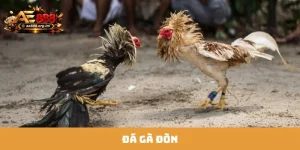 Đá Gà Đòn